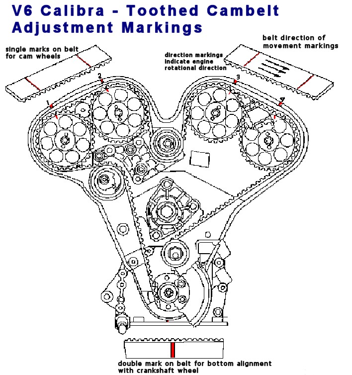 Calibra V6 Cam Belt & Auxiliary Belt